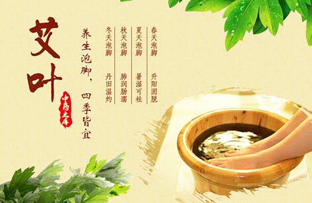 艾叶泡脚的功效与作用